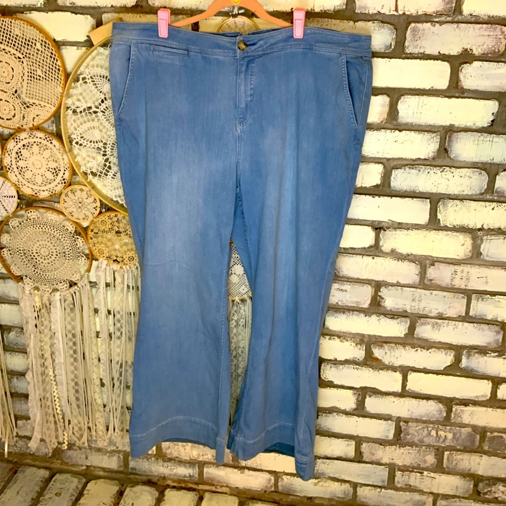 Anthropologie plus size jeans 26w